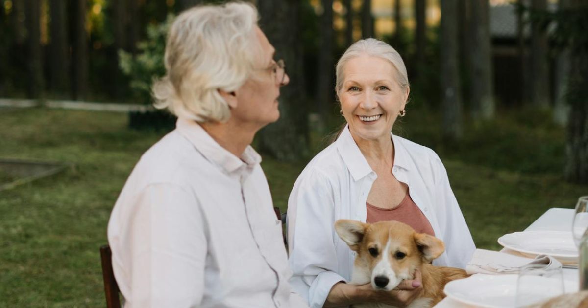 Financement projet Sherbrooke - Réunion d'affaires